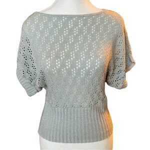 Silver Sparkly Boatneck Sweater